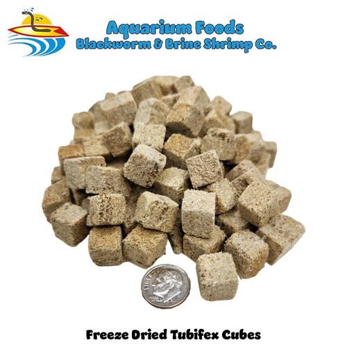 Tubifex worms freeze dried - worms,
